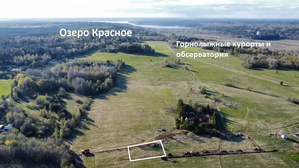 Участок в Ленинградская область, Приозерский район, Красноозерное ... - Фото 1