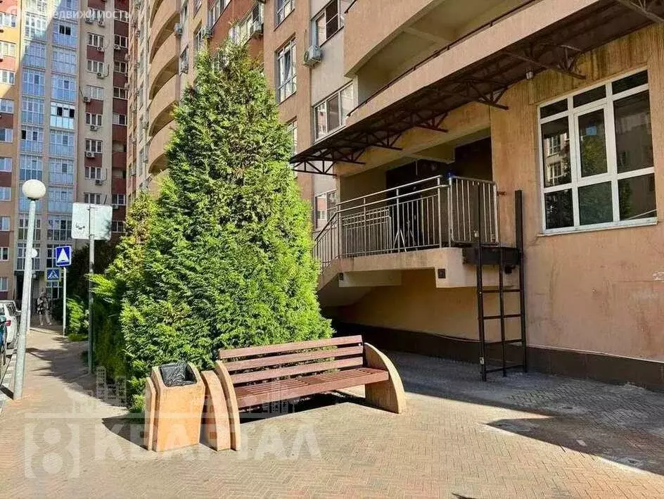 1-комнатная квартира: Новороссийск, улица Видова, 121Ак1 (35 м) - Фото 2