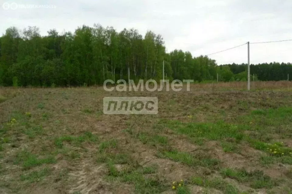 Участок в Исетский район, село Шорохово (46 м) - Фото 0
