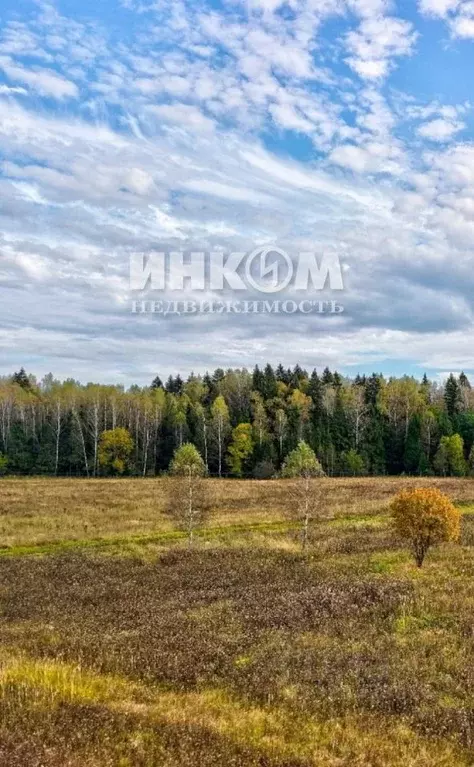 Участок в Московская область, Серпухов городской округ, д. Романовка  ... - Фото 2
