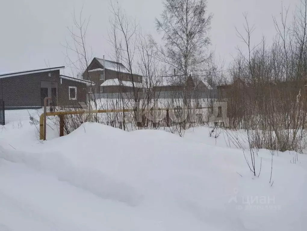 Участок в Новосибирская область, Новосибирский район, Криводановский ... - Фото 1