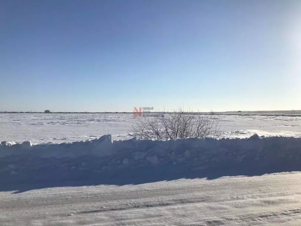 Участок в Тюменская область, Тюменский район, с. Чикча  (37.38 сот.) - Фото 1