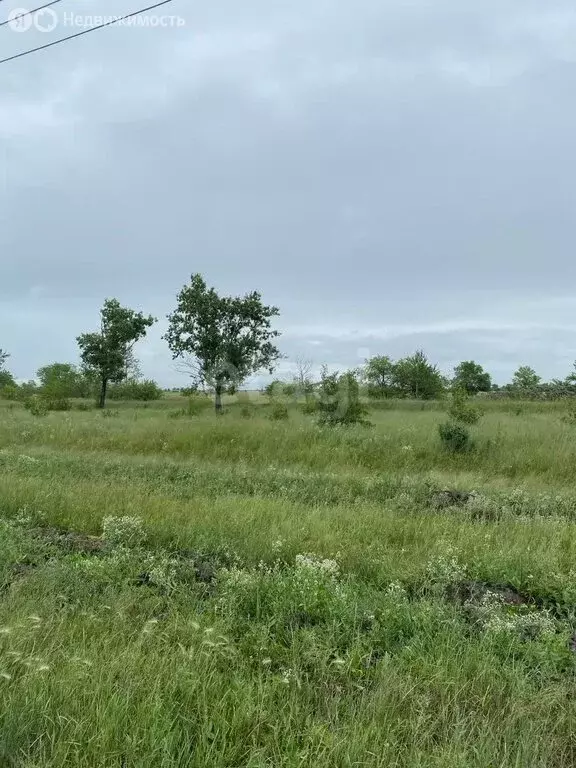 Участок в Усть-Абаканский район, село Калинино (228.5 м) - Фото 1