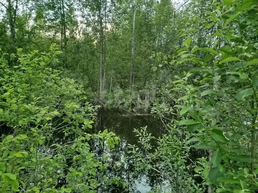 Участок 10 сот. (СНТ, ДНП) - Фото 0