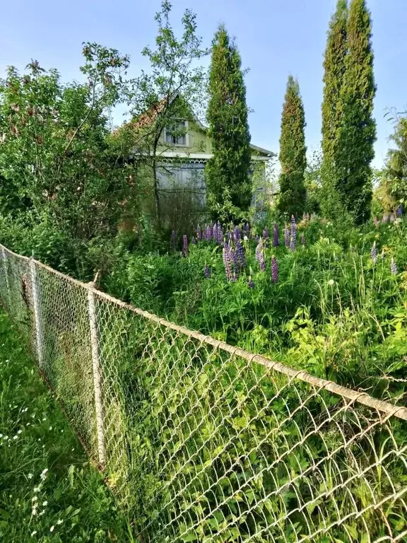 Дом в Ярославская область, Рыбинск Волга СНТ,  (24 м) - Фото 0