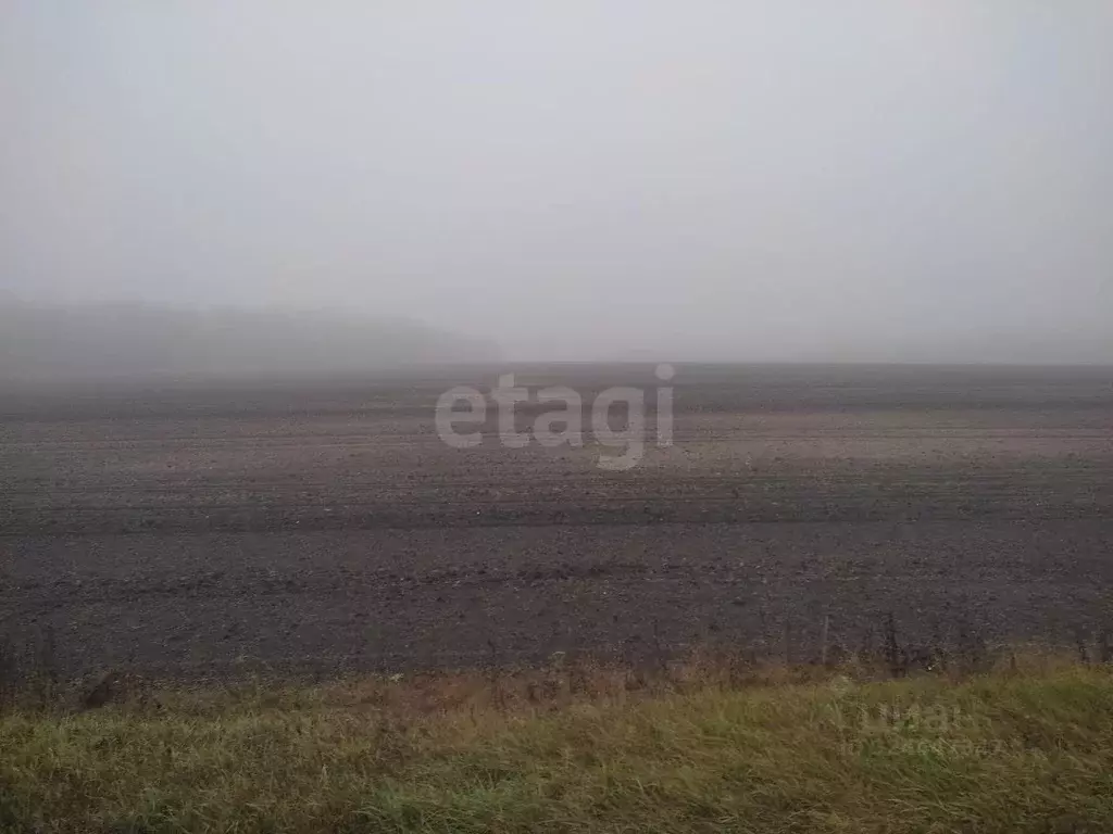 Участок в Белгородская область, Красногвардейский район, Ливенское ... - Фото 2