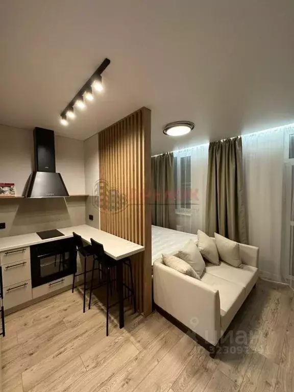 Студия Ростовская область, Ростов-на-Дону просп. Ленина, 46/2 (30.0 м) - Фото 1