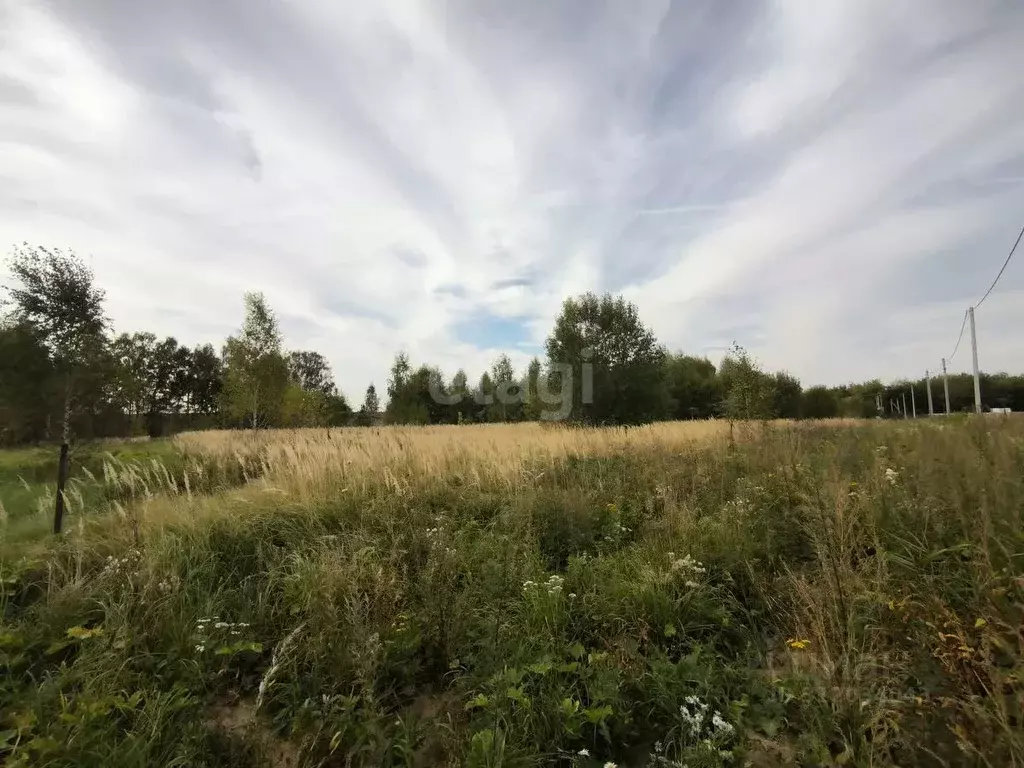 Участок в Московская область, Коломна городской округ, с. Федосьино  ... - Фото 0