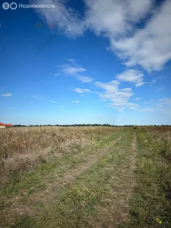 Участок в муниципальное образование Краснодар, посёлок Пригородный, ... - Фото 1