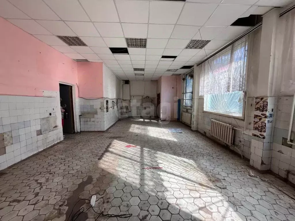 Торговая площадь в Калужская область, Калуга Куровской мкр, ул. ... - Фото 1