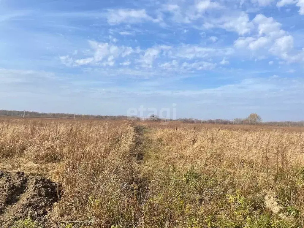 Участок в Хабаровский край, Хабаровский район, с. Гаровка-1 ул. ... - Фото 2
