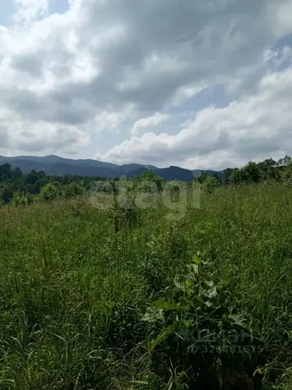 Участок в Алтайский край, Алтайский район, с. Алтайское ул. Зеленая ... - Фото 2