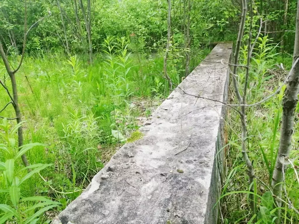 Участок 10 сот. (ИЖС) - Фото 1