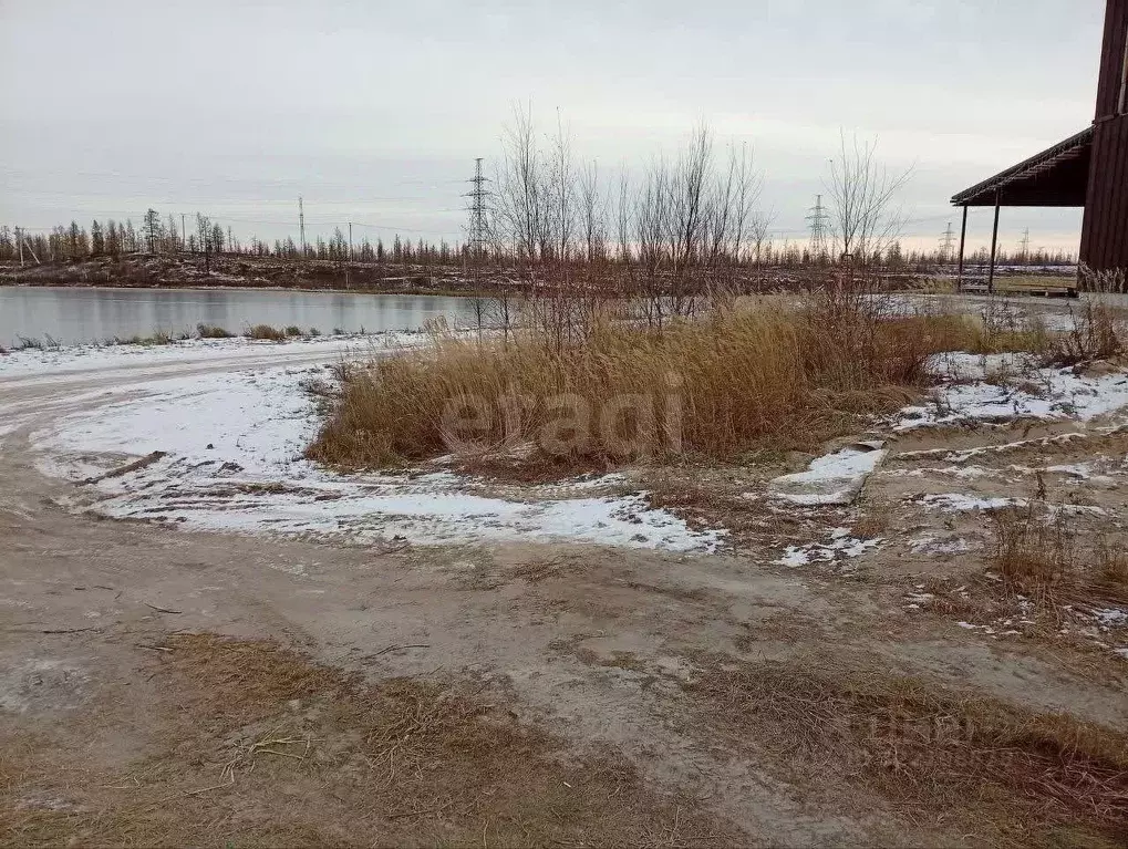 Участок в Ямало-Ненецкий АО, Новый Уренгой Дружба ТСН, проезд 4-й ... - Фото 1