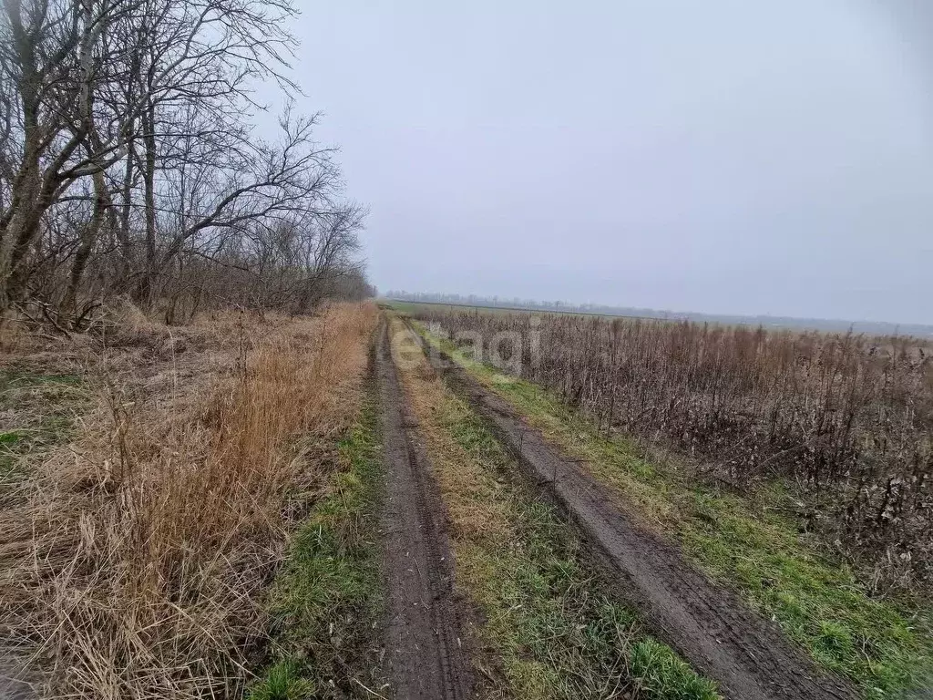 Участок в Краснодарский край, Анапа муниципальный округ, ... - Фото 1