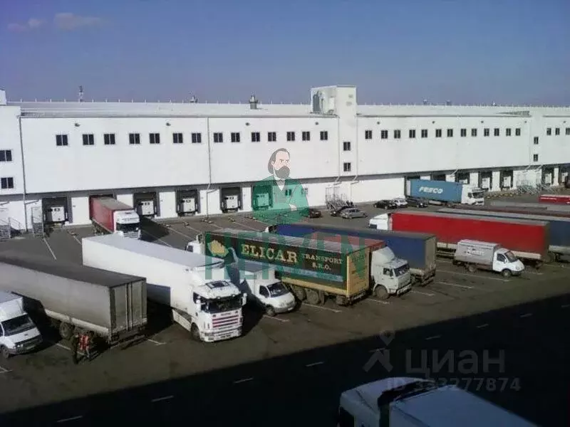 Склад в Московская область, Пушкино ул. Пушкинское поле, вл10с3 (3000 ... - Фото 1