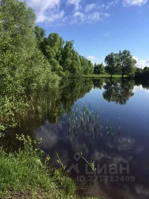 Участок в Брянская область, Навлинский район, Синезерское с/пос, с. ... - Фото 1