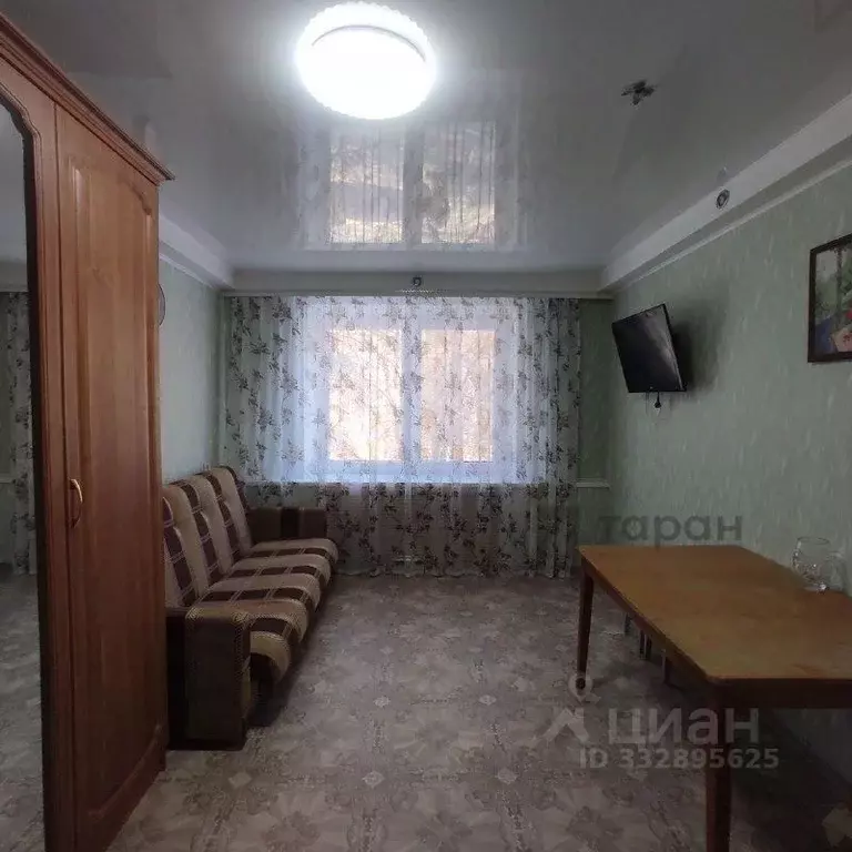 Комната Челябинская область, Челябинск Набережная ул., 2 (17.0 м) - Фото 1