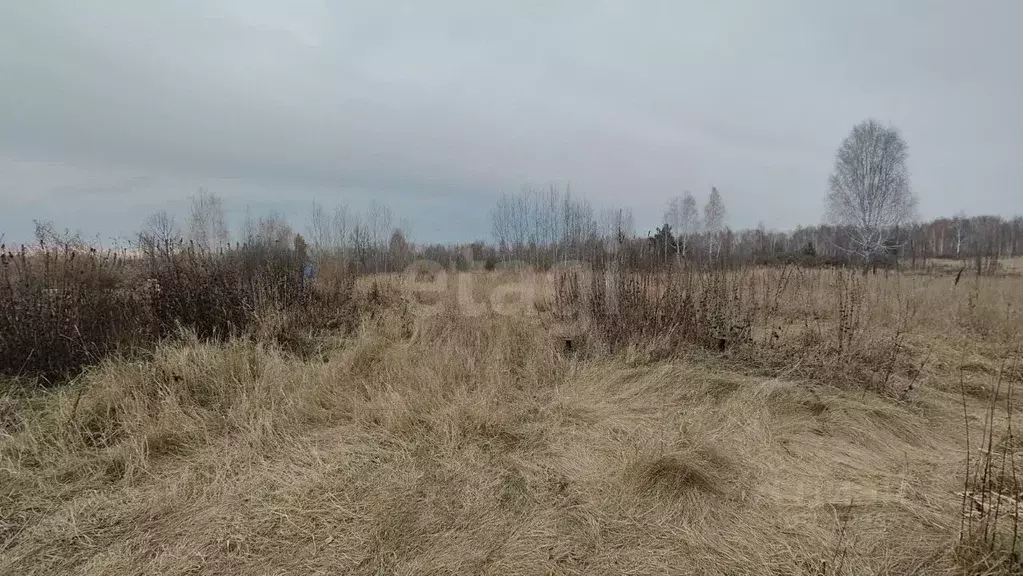 Участок в Тюменская область, Ялуторовский муниципальный округ, СО ... - Фото 1