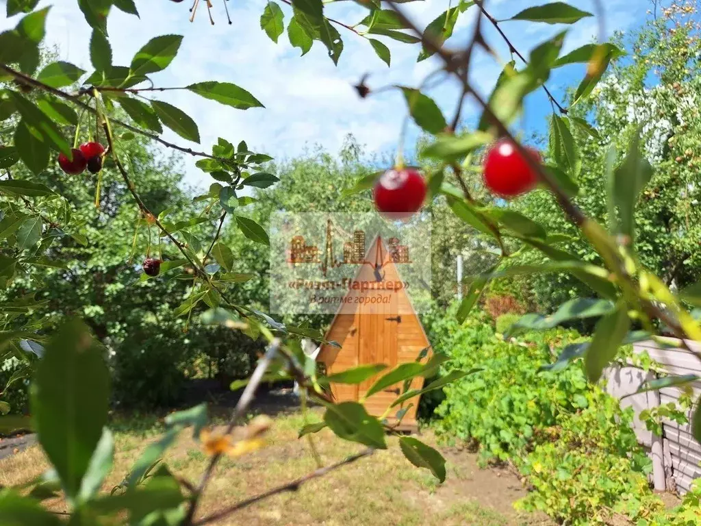 Участок в Саратовская область, Саратов Волгарь-86 СНТ, ул. Большая ... - Фото 2