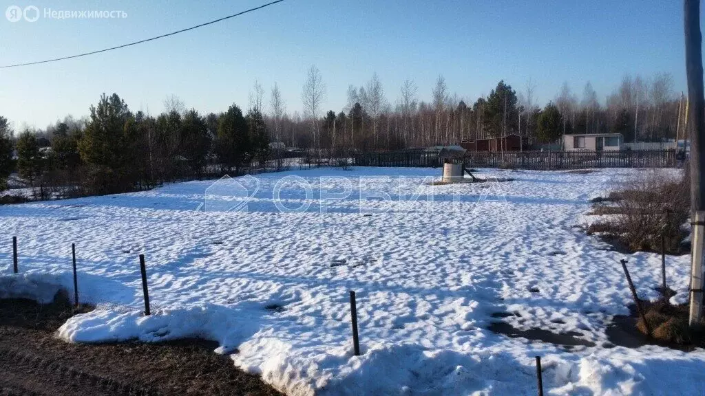 Участок в Тюменский муниципальный округ, СНТ Исток (11.7 м) - Фото 2