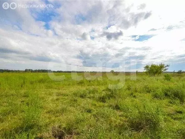 Участок в село Большие Кургузи, Северная улица (6 м) - Фото 2