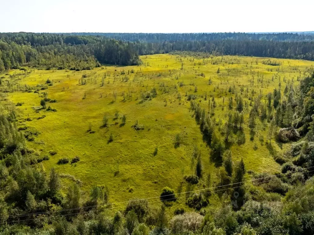 Участок в Ленинградская область, Всеволожский район, Куйвозовское ... - Фото 1