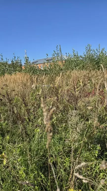 Участок в Чувашия, Ибреси пгт ул. Герцена, 6 (6.2 сот.) - Фото 2