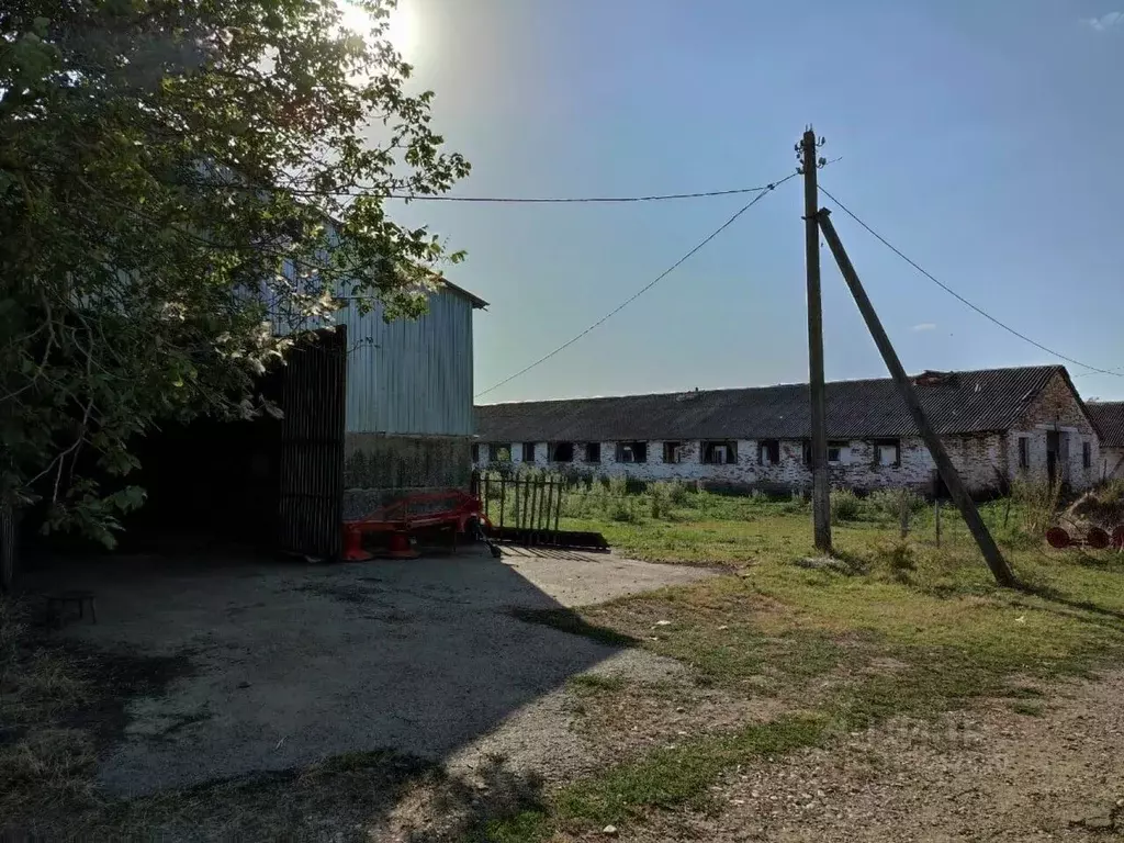 Производственное помещение в Адыгея, Красногвардейский район, ... - Фото 1