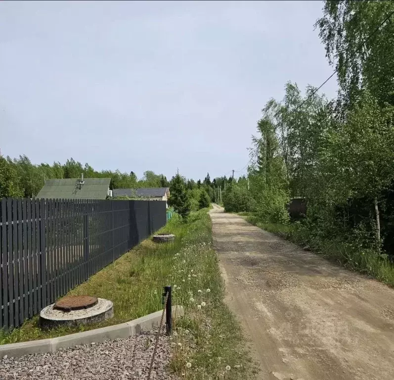 Участок в Ленинградская область, Тосненский район, Форносовское ... - Фото 2