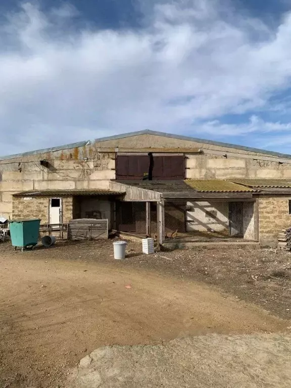 Помещение свободного назначения в Крым, Сакский район, Суворовское ... - Фото 1