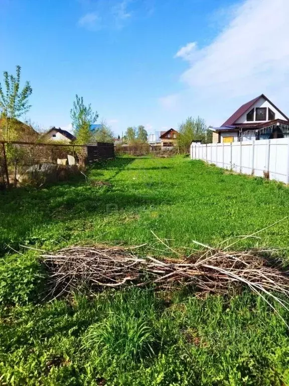 Участок в Новосибирская область, Новосибирский район, Мичуринский ... - Фото 1