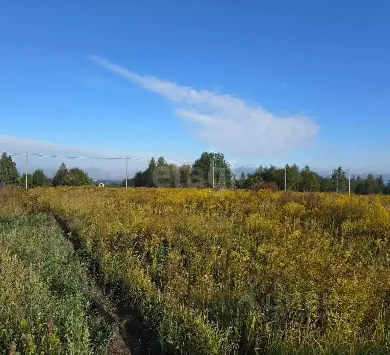 Участок в Брянская область, Брянский район, Мичуринское с/пос, Заря ... - Фото 1