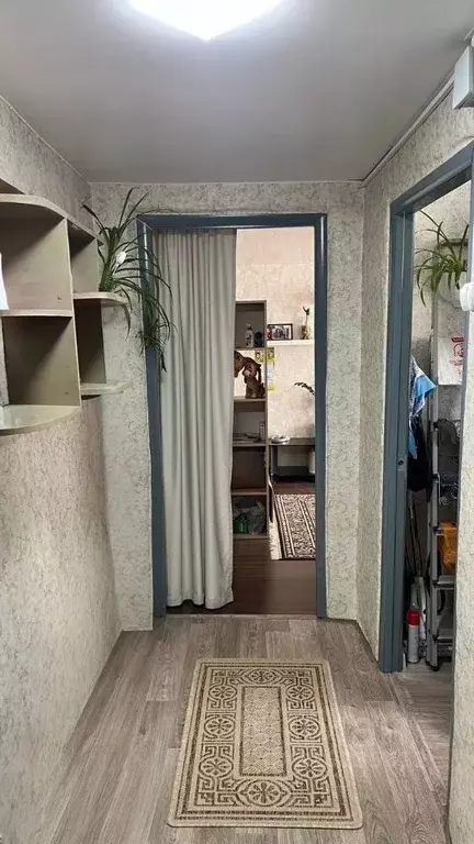 1-к кв. Бурятия, Улан-Удэ Аршан мкр, ул. Дарвина, 42 (31.2 м) - Фото 0