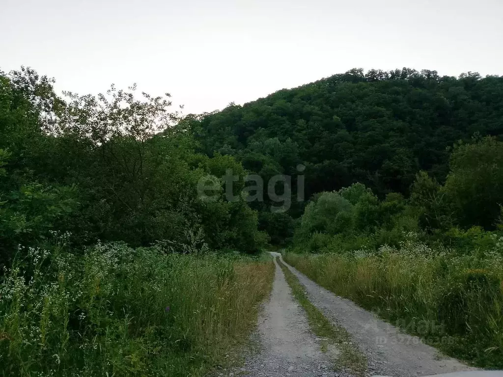 Участок в Адыгея, Майкопский район, пос. Каменномостский ул. Мира ... - Фото 1