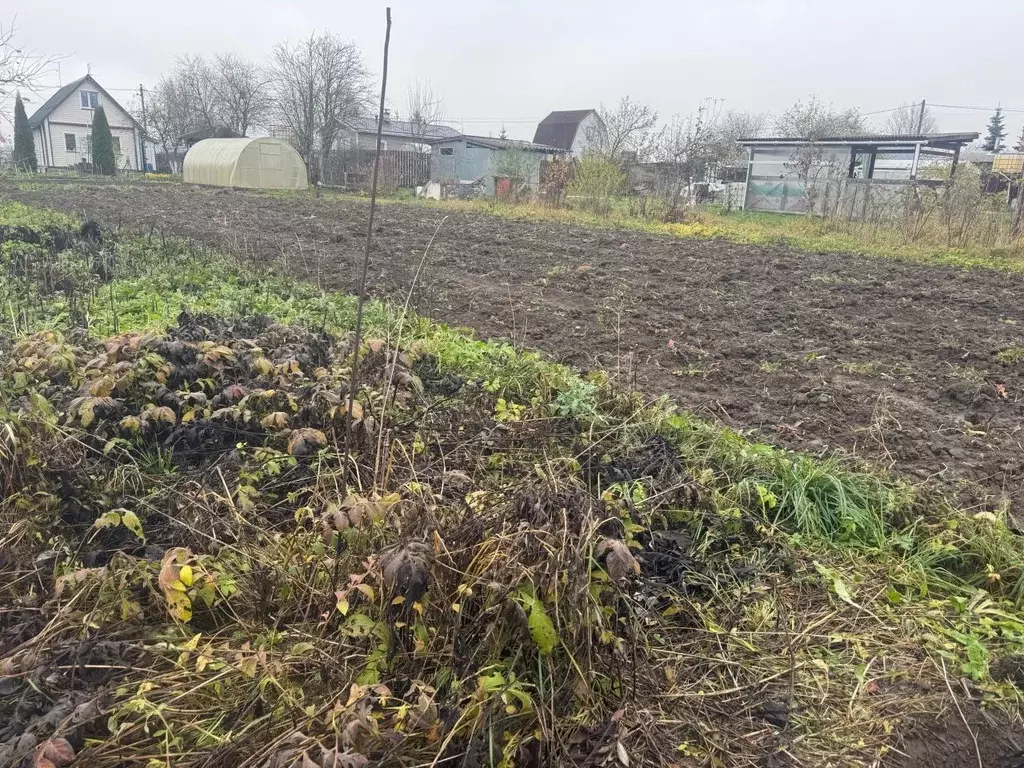 Участок в Ленинградская область, Гатчинский муниципальный округ, ... - Фото 1