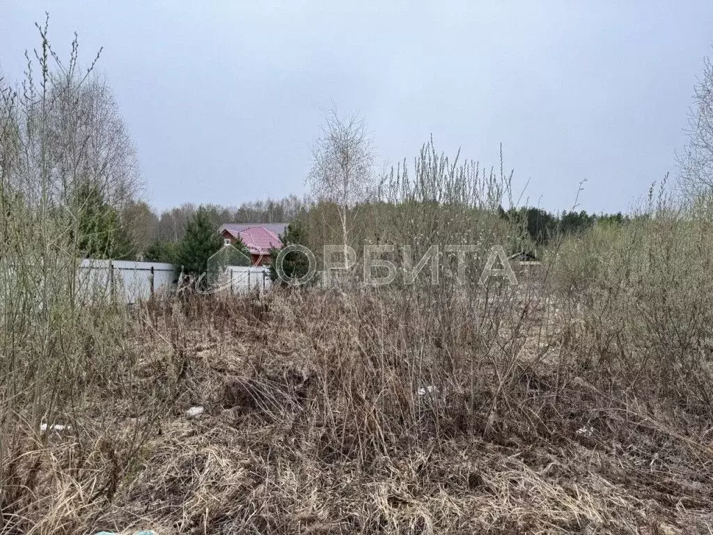 Участок в Тюменская область, Тюменский район, д. Посохова ул. Озерная ... - Фото 0