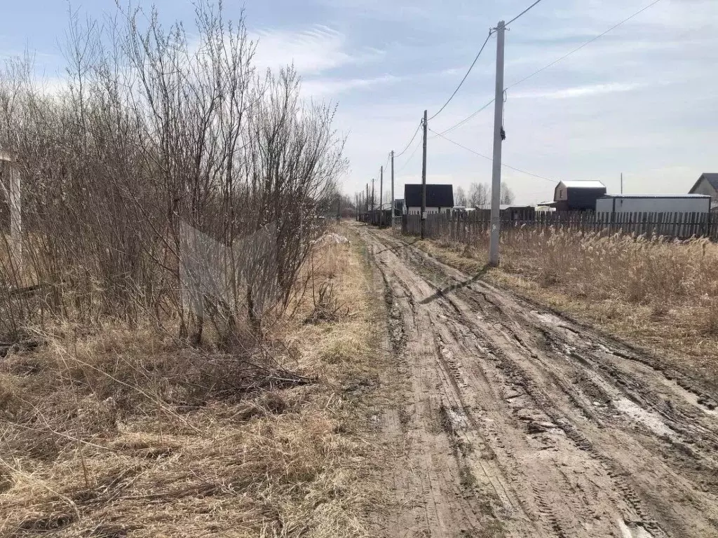 Участок в Тюменская область, Тюмень Садовое товарищество Липовый ... - Фото 0