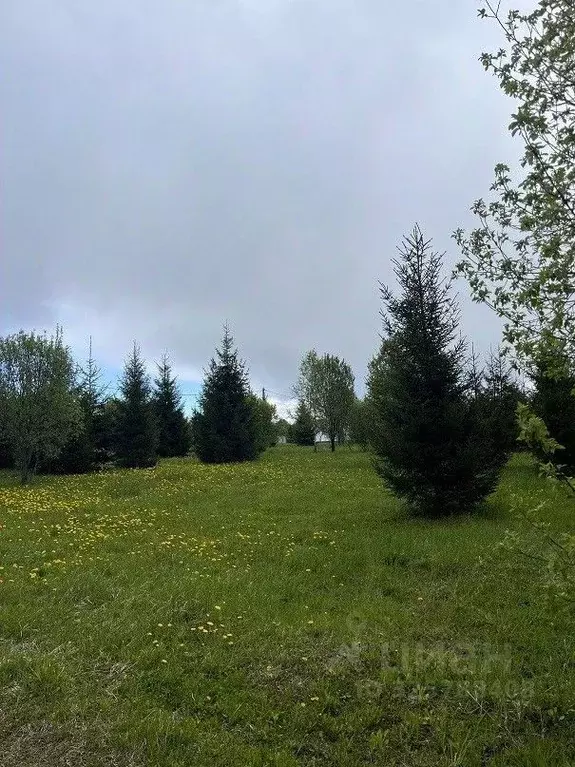 Участок в Московская область, Можайский муниципальный округ, Ясная ... - Фото 2