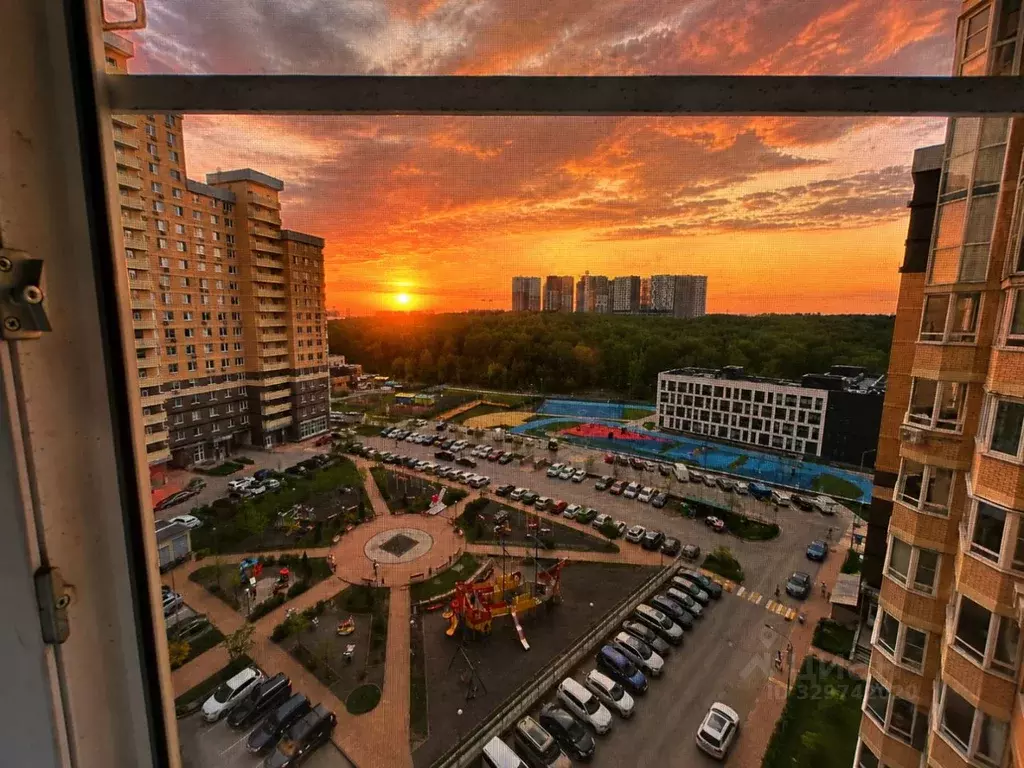 Студия Московская область, Одинцово Северная ул., 5к3 (42.9 м) - Фото 2