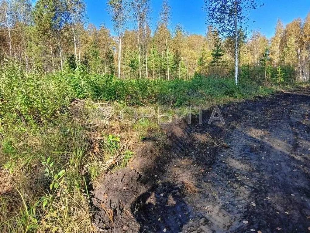 Участок в Тюменская область, Тюмень Медик СНТ,  (18.0 сот.) - Фото 1