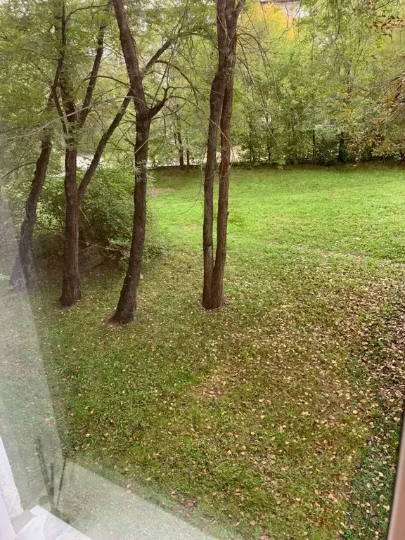 2-к кв. Красноярский край, Красноярск ул. Крупской, 16 (43.0 м) - Фото 1