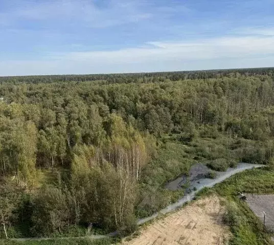 2-к кв. Московская область, Лосино-Петровский городской округ, ... - Фото 2