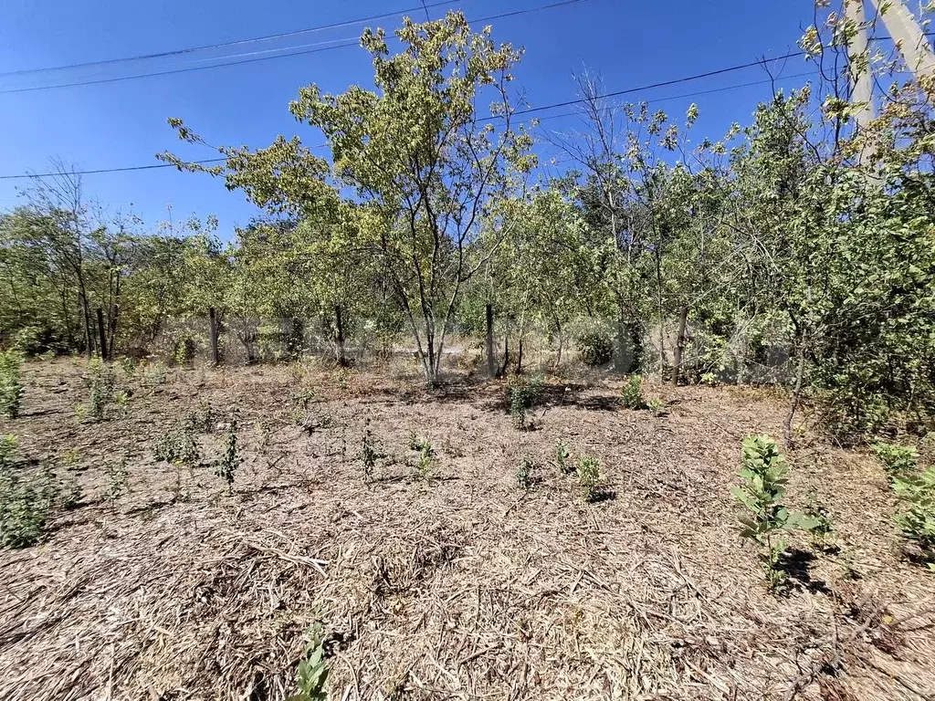 Участок в Ростовская область, Аксайский район, Мишкинское с/пос, пос. ... - Фото 2