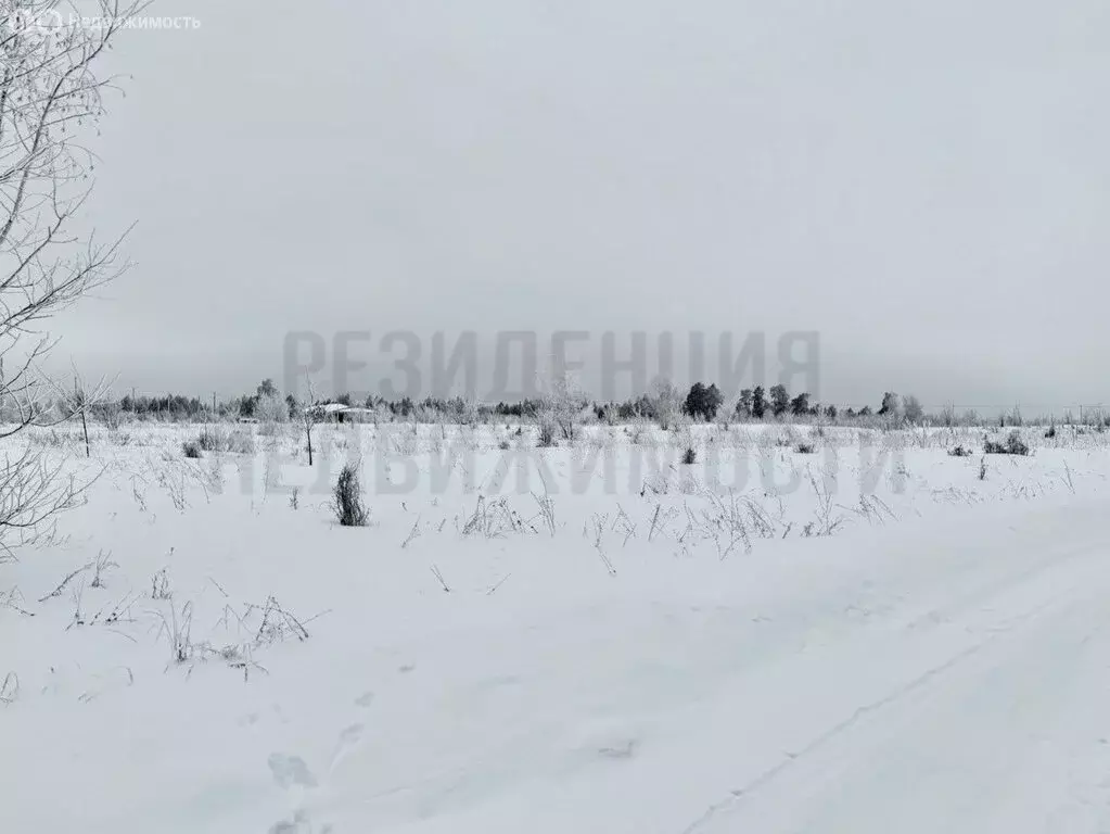 Участок в Новый Буян, село Новый Буян, Тенистая улица (24 м) - Фото 2