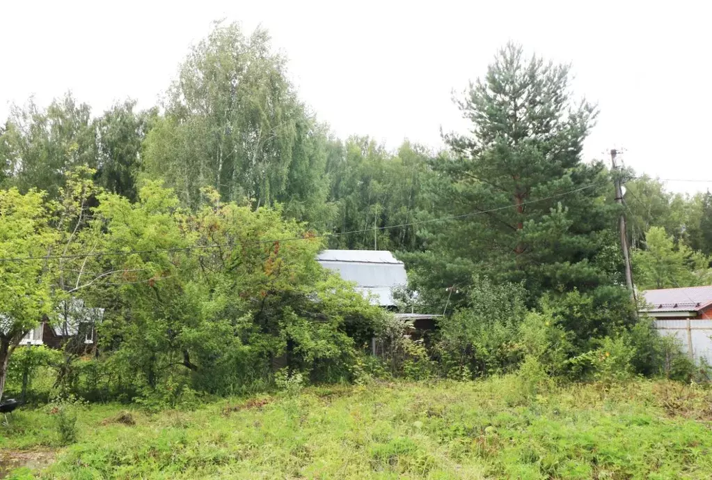 Участок в Московская область, Солнечногорск городской округ, Повадино ... - Фото 2