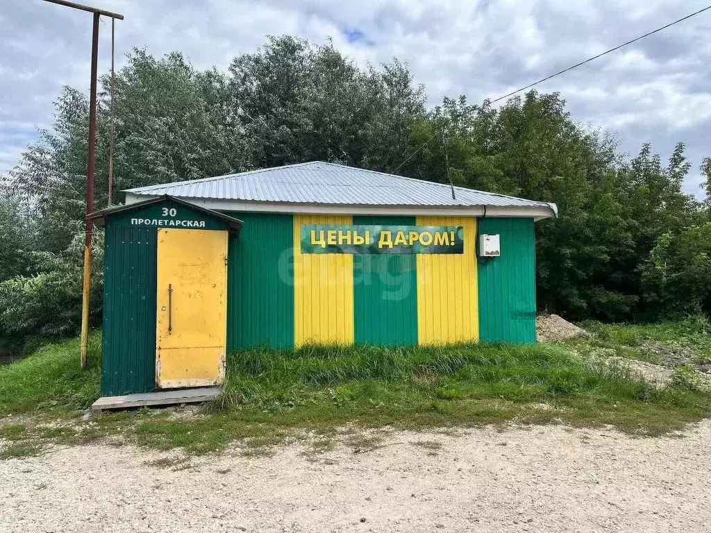 Торговая площадь в Владимирская область, Муром с. Панфилово, ул. ... - Фото 2