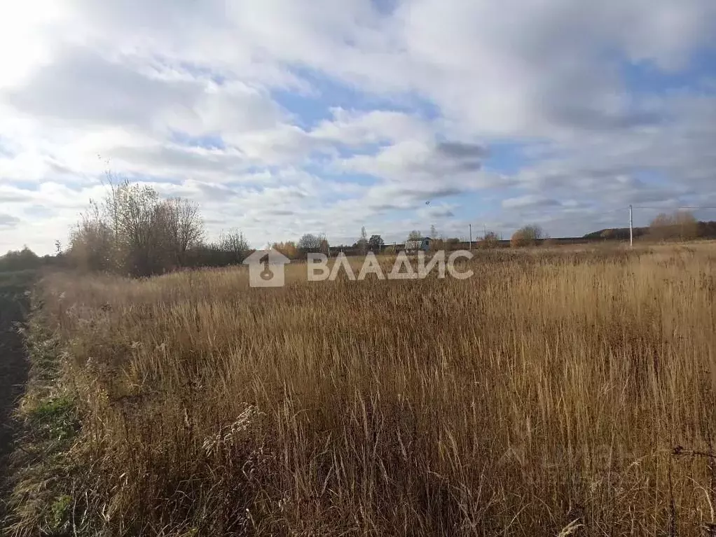 Участок в Владимирская область, Суздальский район, Боголюбовское ... - Фото 0