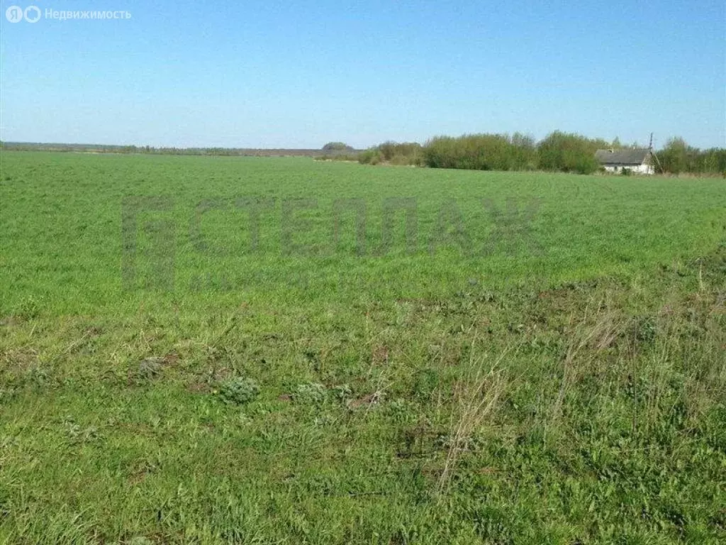 Участок в Первомайское сельское поселение (6 м) - Фото 1