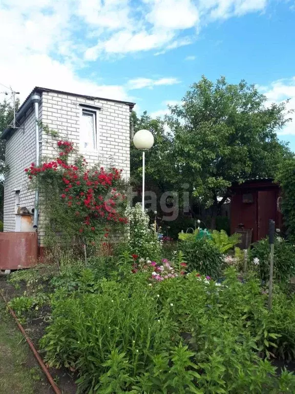 Дом в Белгородская область, Белгородский район, Ериковское с/пос, ... - Фото 0